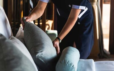Ungeziefer im Hotelbett: Wie eine Hotelreinigung helfen kann